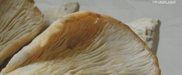 Easy Pan Fried Oyster Mushrooms (Vegan)