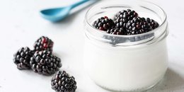Protein Parfait