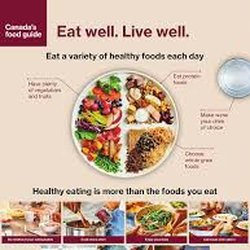 Canada's Food Guide