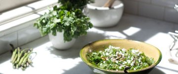 Cilantro Salad