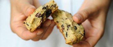 Breakfast Cookies