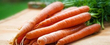 Creamy Root Vegetable Soup