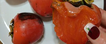 Purely Persimmons