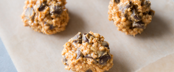 Protein Bites