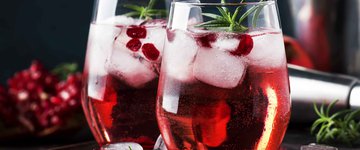 Sparkling Cranberry Ginger Kombucha Mocktail