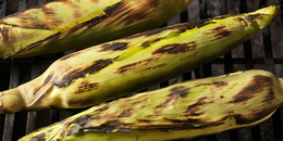Corn on the Cob