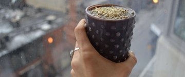 Mineral-Rich Squash Smoothie
