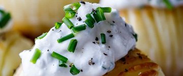 Paleo Sour Cream Recipe