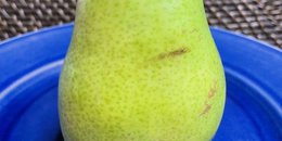 *SN: 1/2 c Pear Slices, Fresh (1/2 c FR)