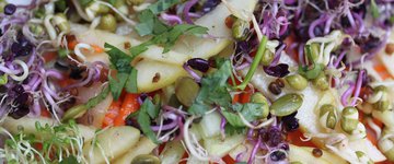Spring Sprouts Salad with Asian Dressing