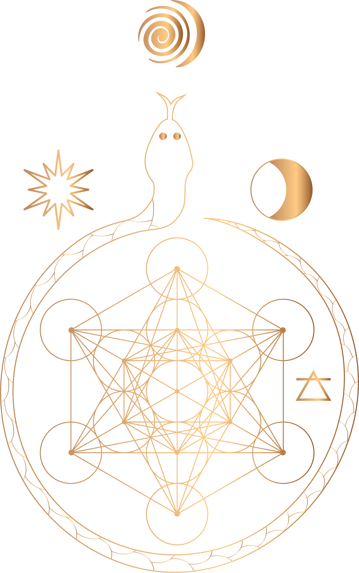 Holistic Body Design