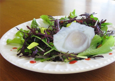 Endive Salad with Bacon-Shallot Vinaigrette