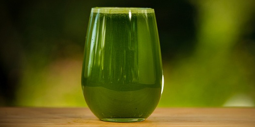 Gentle Green Juice