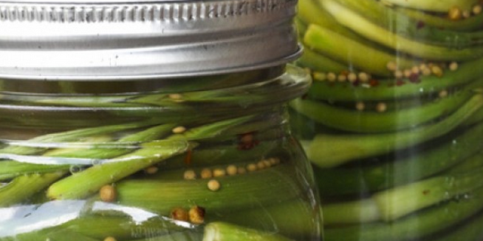 Pickled Scapes
