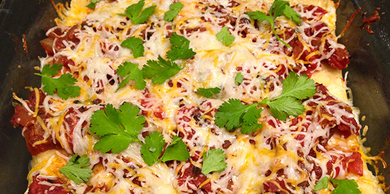 Shredded Chicken Enchiladas