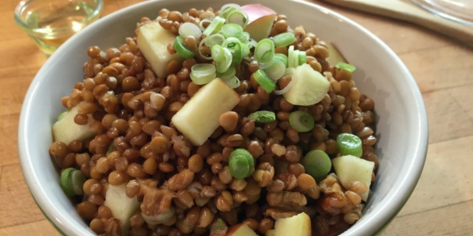 Wheat Berry & Lentil Salad