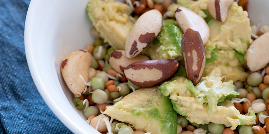 Mixed Sprout & Avocado Salad