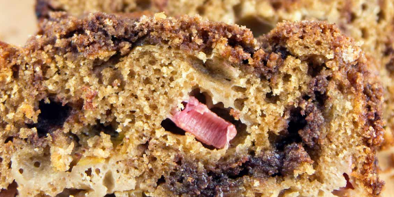 Cinnamon Streusel Rhubarb Quick Bread