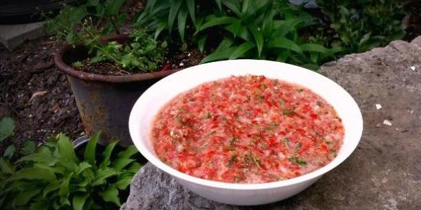 Make-it-in-Less-Than-Two-Minutes Blender Salsa