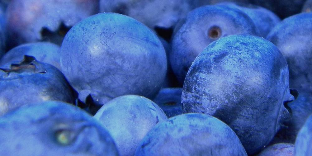 Cottage Cheese with Blueberries and Flaxseed