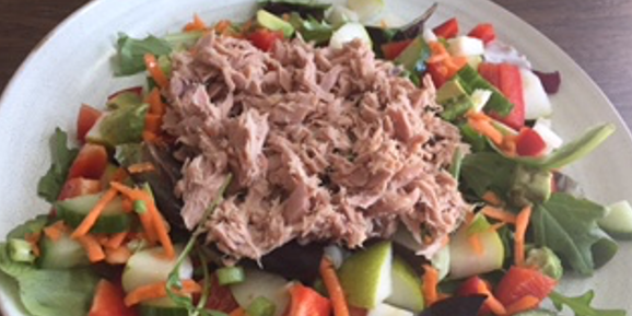 Speedy Tuna Salad