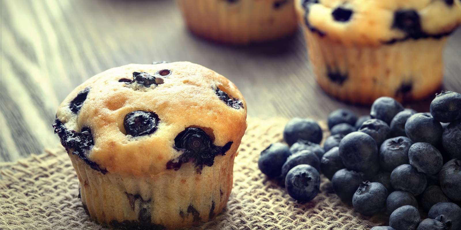 Coconut Flour Blueberry Muffins