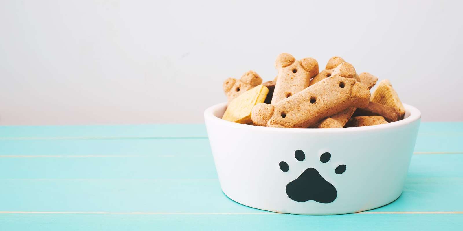 Homemade Dog Biscuits