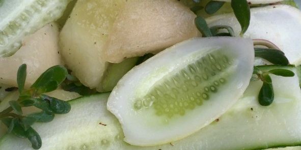 Simple Melon Cucumber Salad