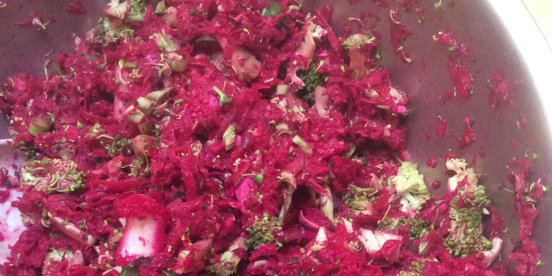 ABC Slaw with Blueberry Lemon Dressing 