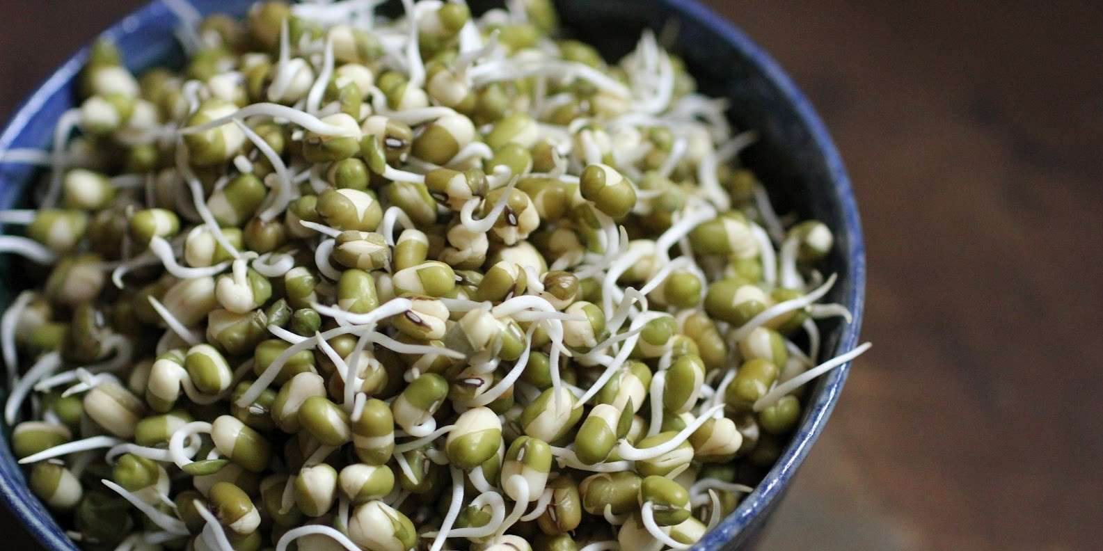 Sprouted Mung Beans