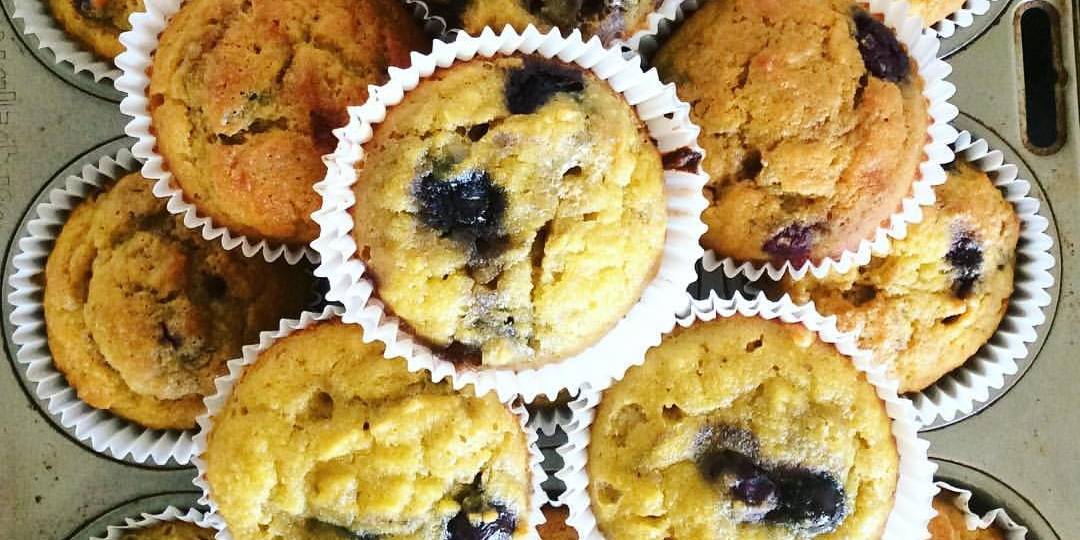 Coconut Flour Blueberry and Honey Muffins 