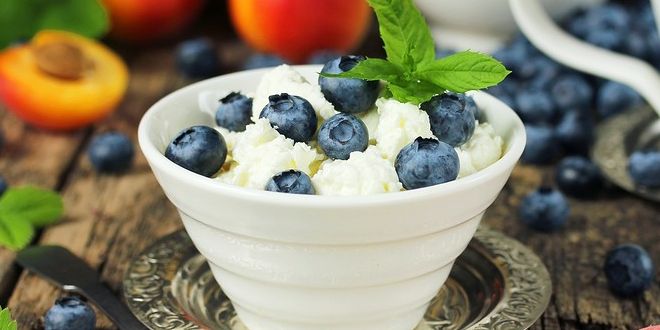 Cottage Cheese & Berries