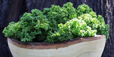 Green Buddha Bowls