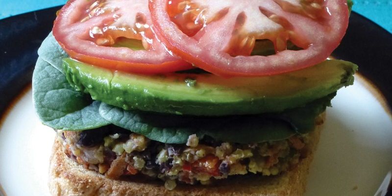 Rainbow Millet Patty