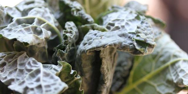 Braised Winter Greens