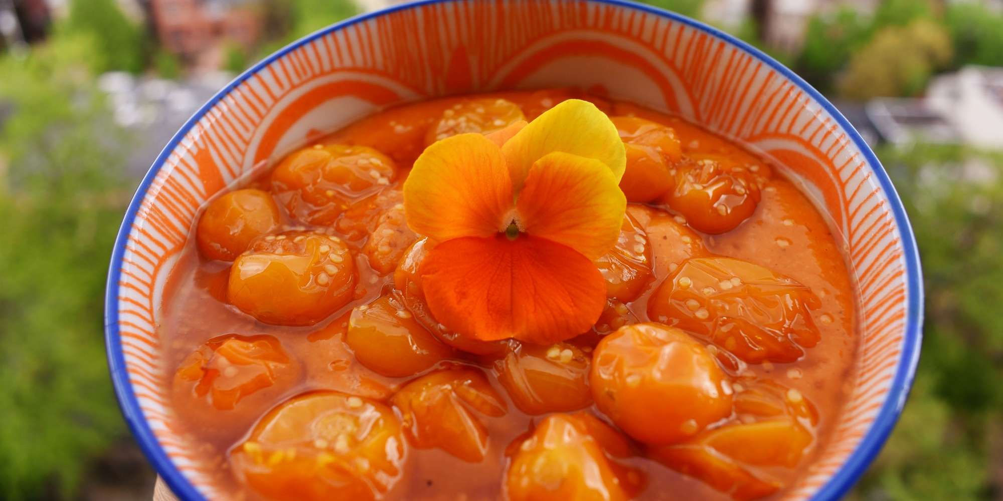 Papaya Mousse with Roasted Gooseberries 