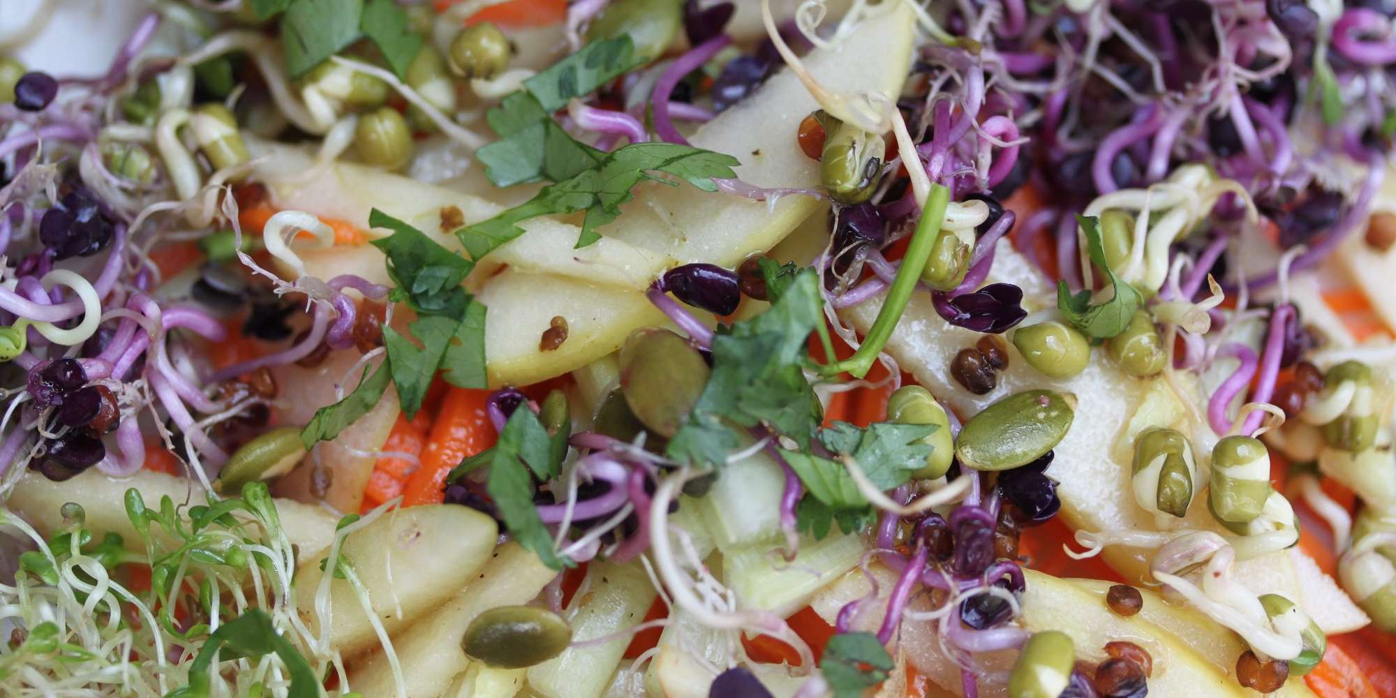 Spring Sprouts Salad with Asian Dressing