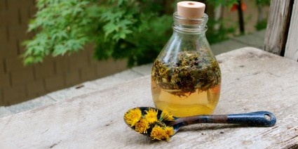 Dandelion Vinegar 