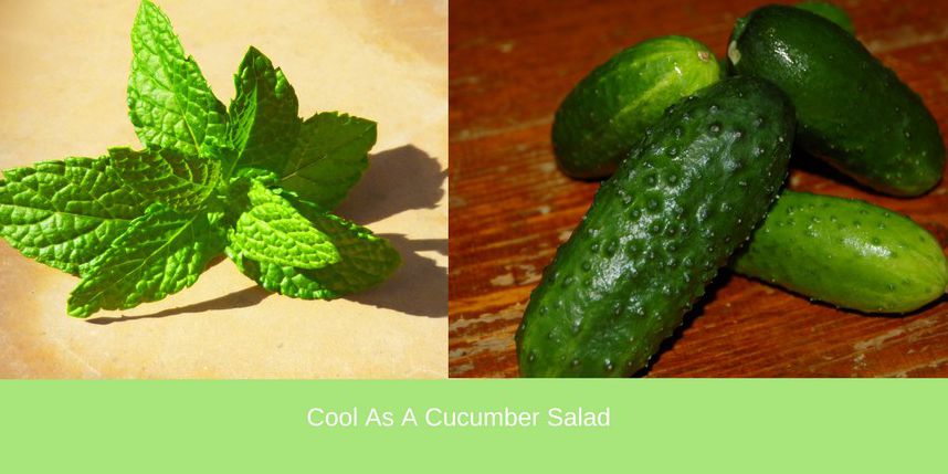 "Cool as a Cucumber" Mint Basil Salad