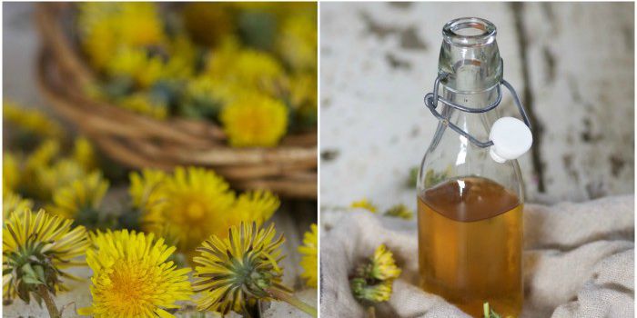 Bitter Chamomile Tonic