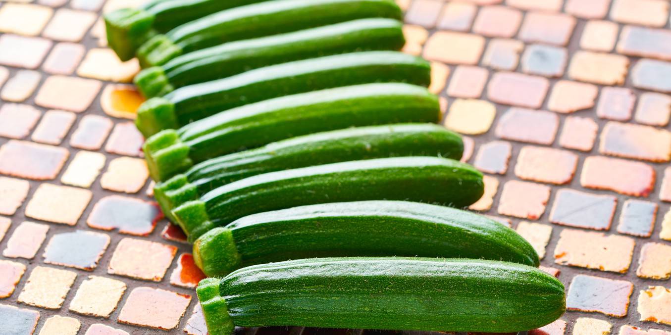 Garlic Zucchini Mash