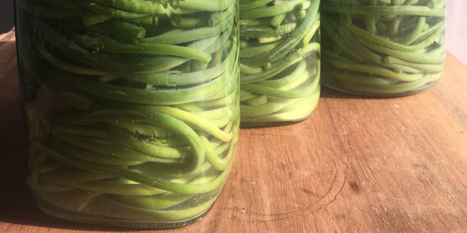 Fermented Garlic Scapes