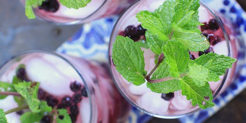 Wild Blueberry Ginger Mint Green Iced Tea