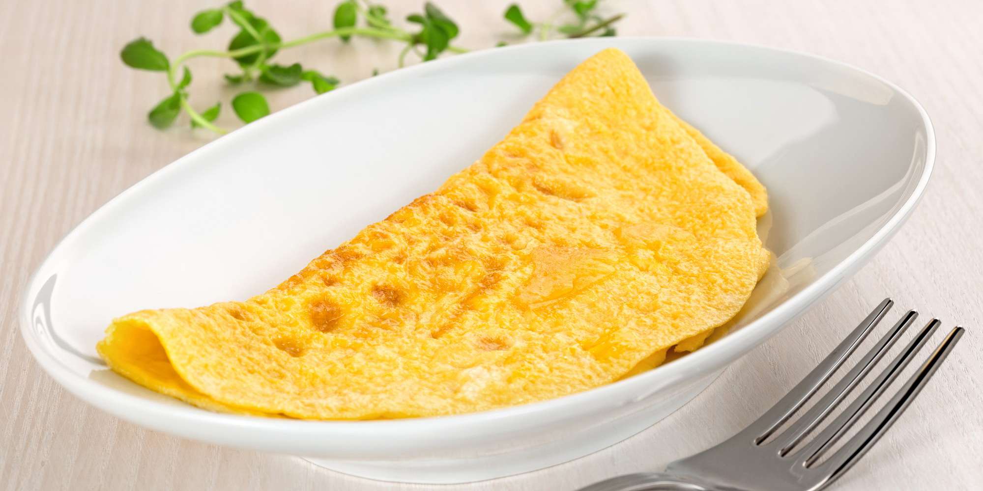 Simple Cheese Omelette