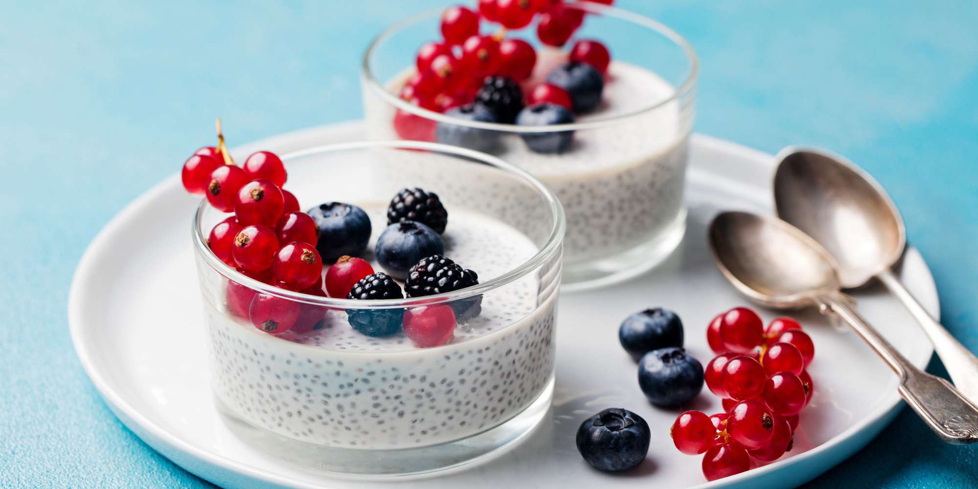 Succulent Vanilla Chia Custard