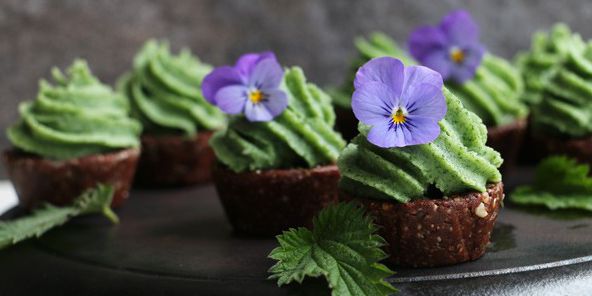 Raw Chocolate Cupcakes with Nettle Frosting