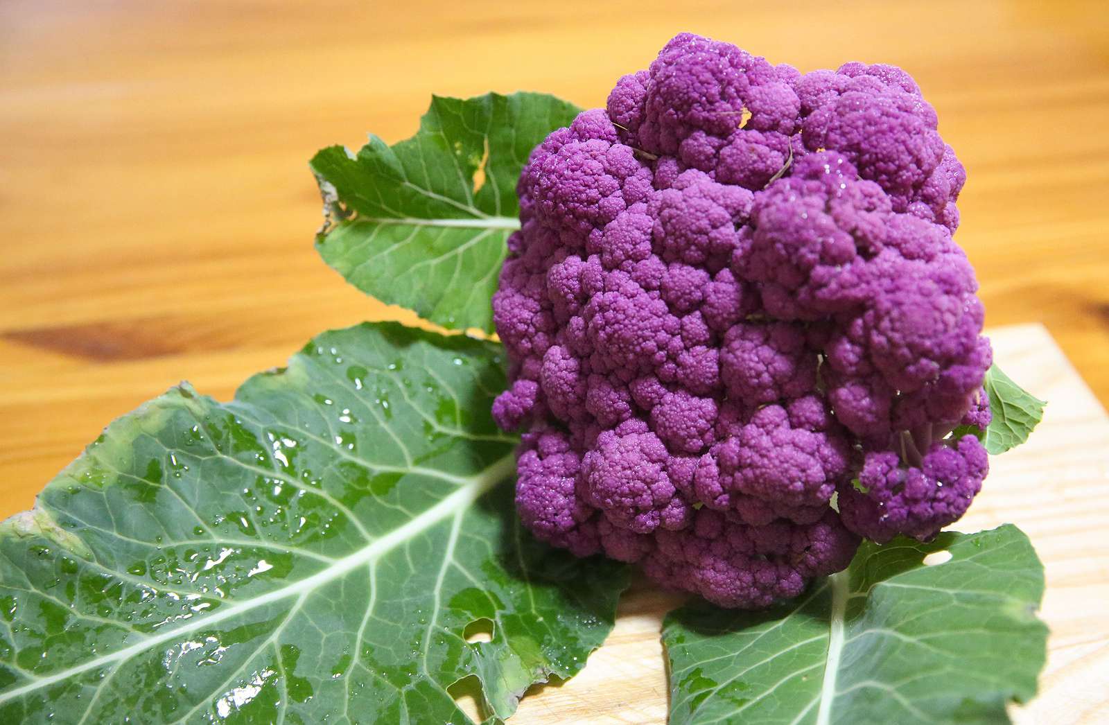Purple Cauliflower Hummus