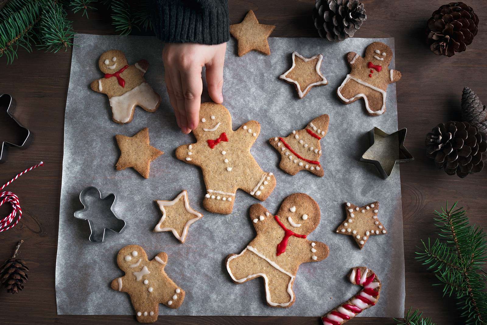 Paleo Gingerbread Cookies