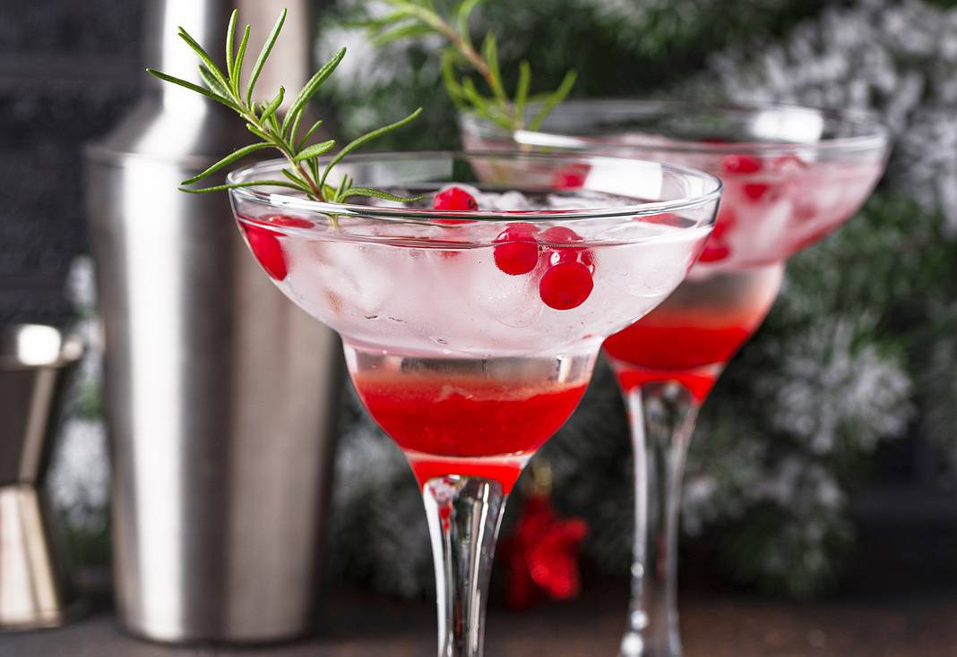 Sparkling Cranberry Kombucha Mocktail
