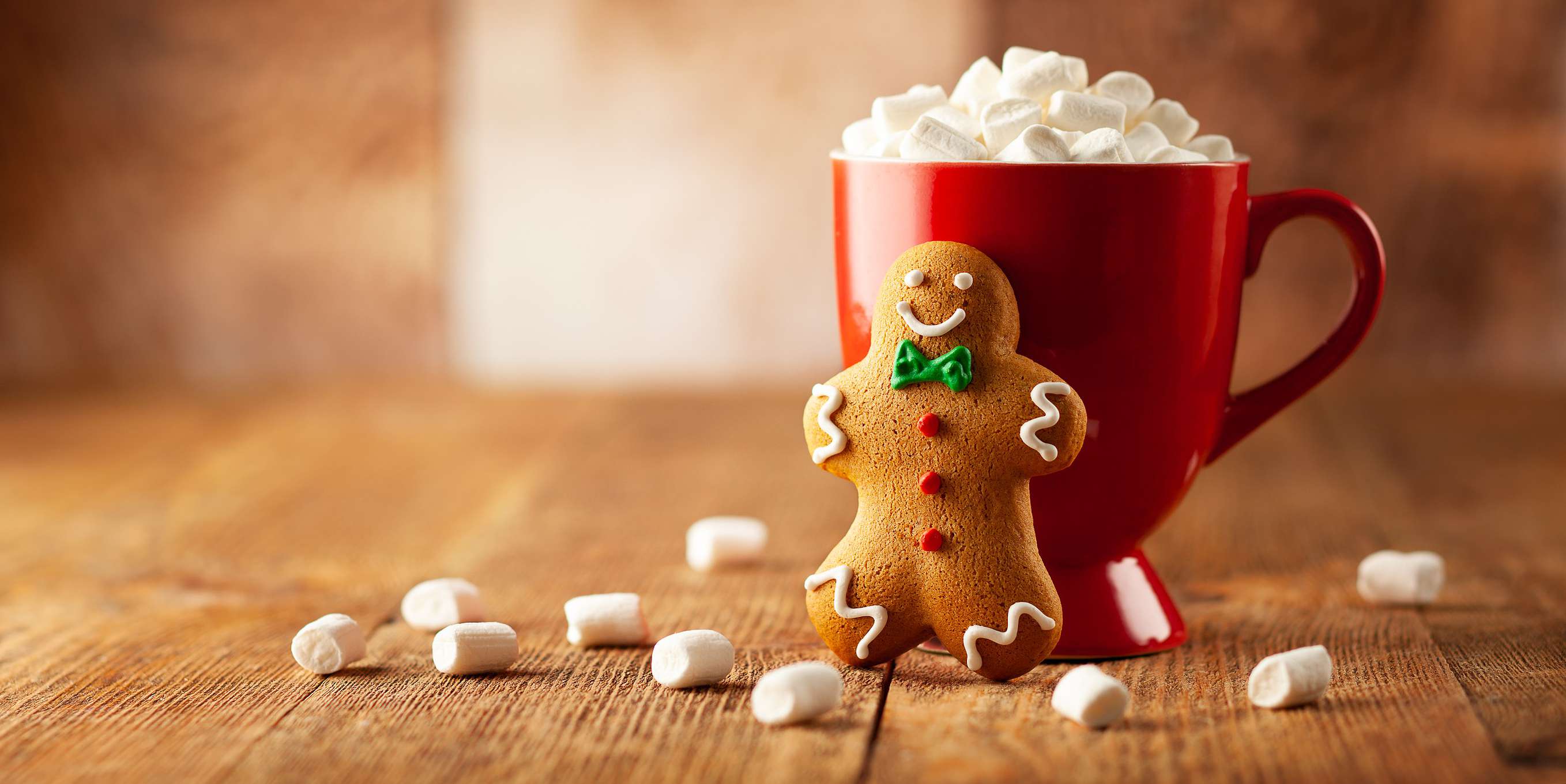 Homemade Dairy-Free Decadent Hot Chocolate Mix